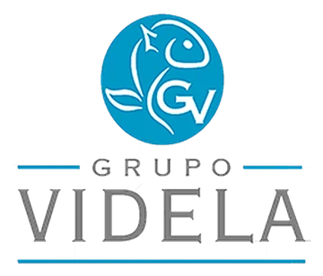 Videla